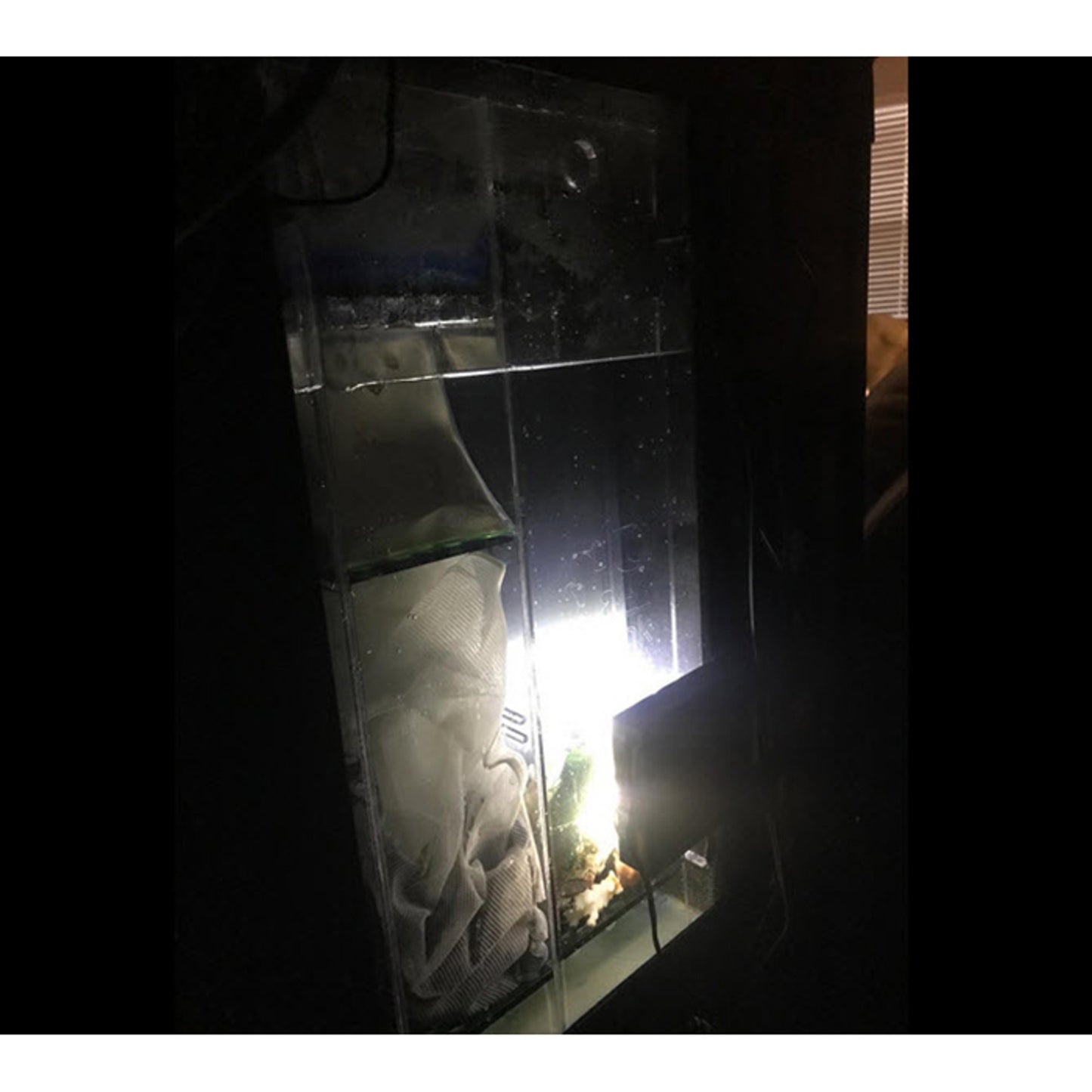 inTank Fuge Basket for Coralife LED BioCube 32