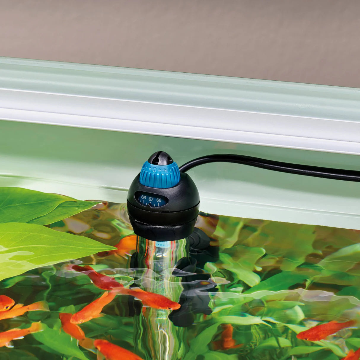 Oase HeatUp 50 Watt Aquarium Heater