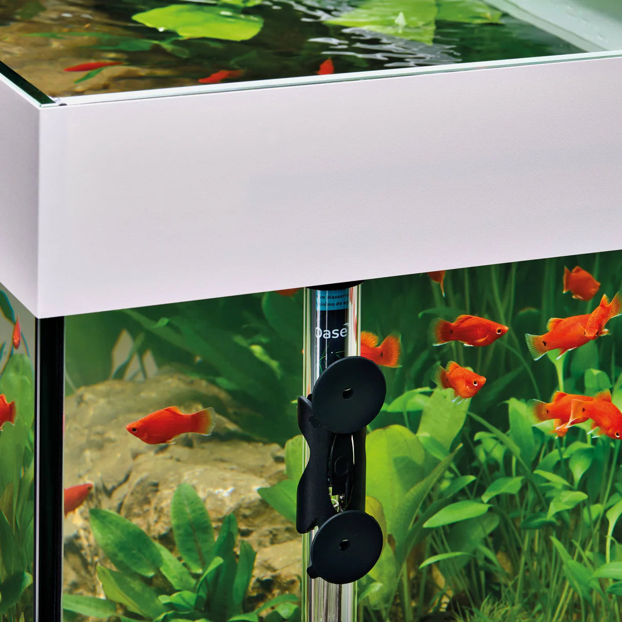 Oase HeatUp 100 Watt Aquarium Heater