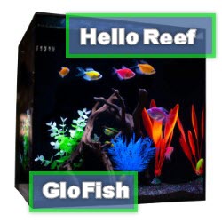 Glofish 15