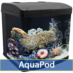 AquaPod 24