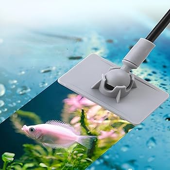 Aquarium Cleaning Aids and Products