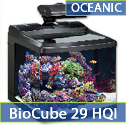 Oceanic Biocube 29 HQI