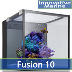 Fusion 10