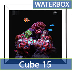 Cube 15