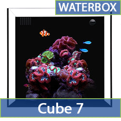 Cube 7