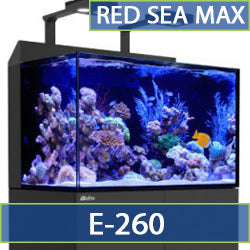 E-260