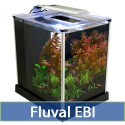 EBI