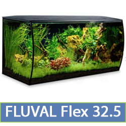 Flex 32.5