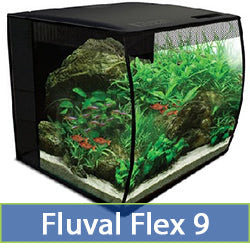 Flex 9