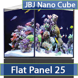 Flat Panel 25