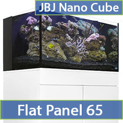 Flat Panel 65