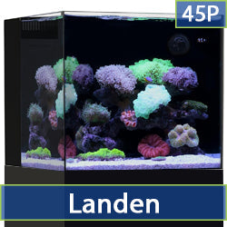Landen 45P