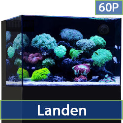 Landen 60P