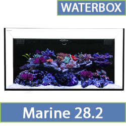 Marine 28.2