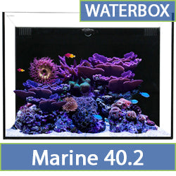 Marine 40.2