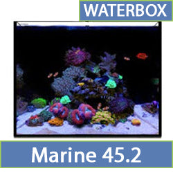 Marine 45.2