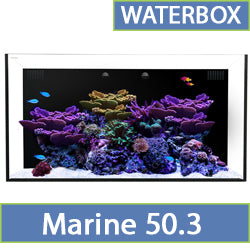 Marine 50.3