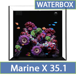 Marine X 35.1