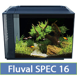 Spec 16