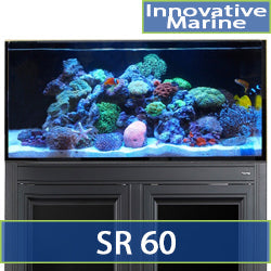 Shallow Reef 60