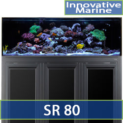 Shallow Reef 80