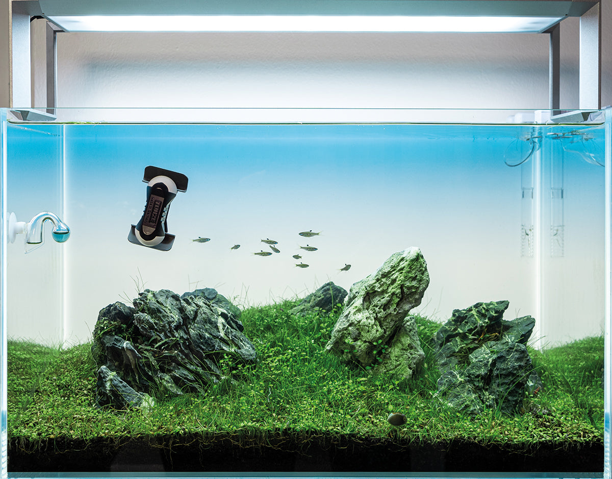 Tunze Care Magnet nano