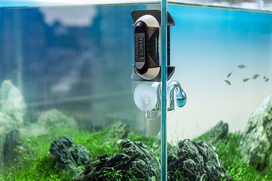 Tunze Care Magnet nano