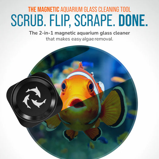 The Flipper Pico 2 In 1 Magnet Aquarium Algae Cleaner