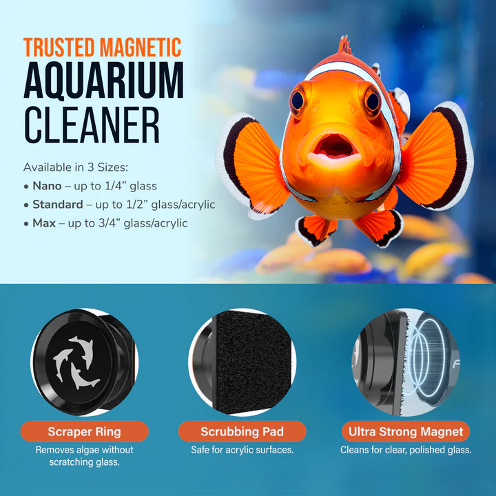 The Flipper Pico 2 In 1 Magnet Aquarium Algae Cleaner