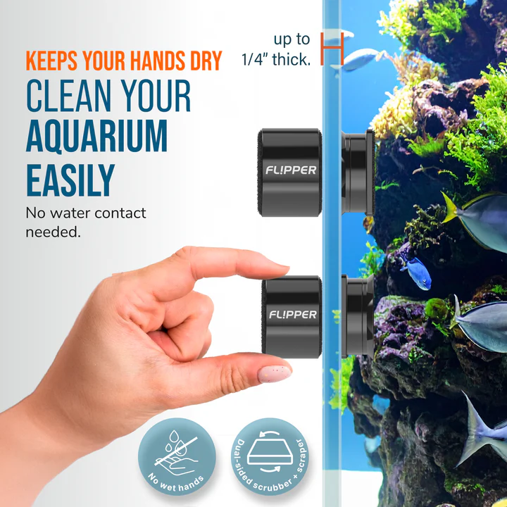 The Flipper Pico 2 In 1 Magnet Aquarium Algae Cleaner