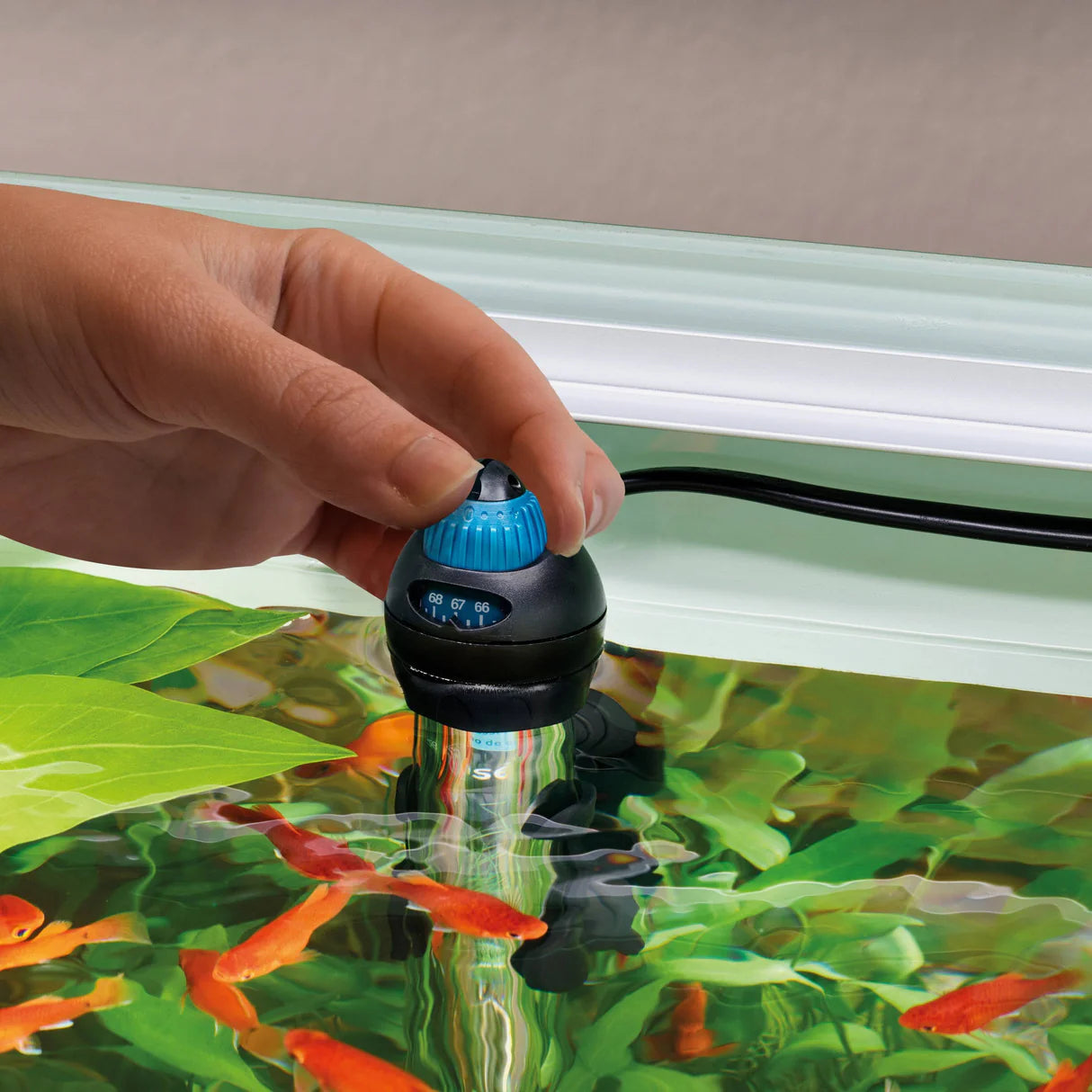 Oase HeatUp 100 Watt Aquarium Heater