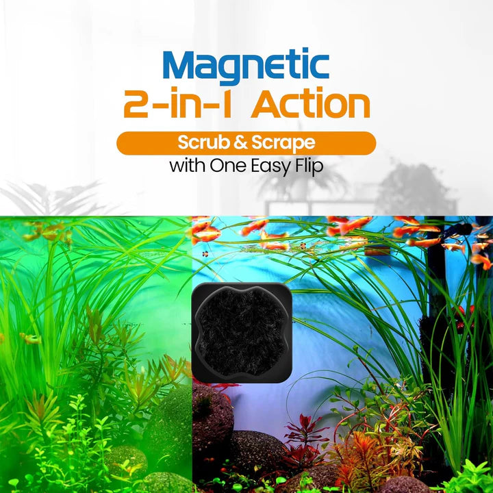 The Flipper Pico 2 In 1 Magnet Aquarium Algae Cleaner
