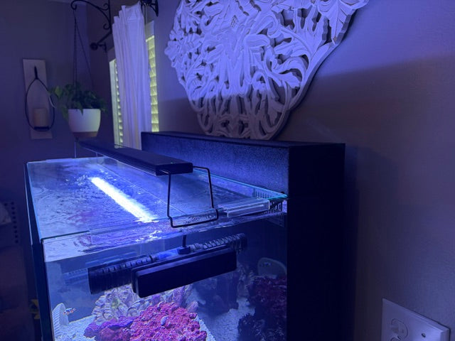 Five Star Aquatics Filtration Cover for JBJ Rimless 65 Gallon Aquarium