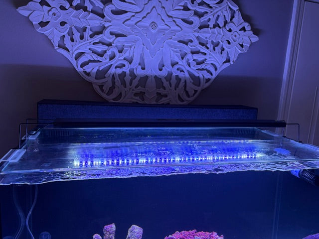 Five Star Aquatics Filtration Cover for JBJ Rimless 65 Gallon Aquarium