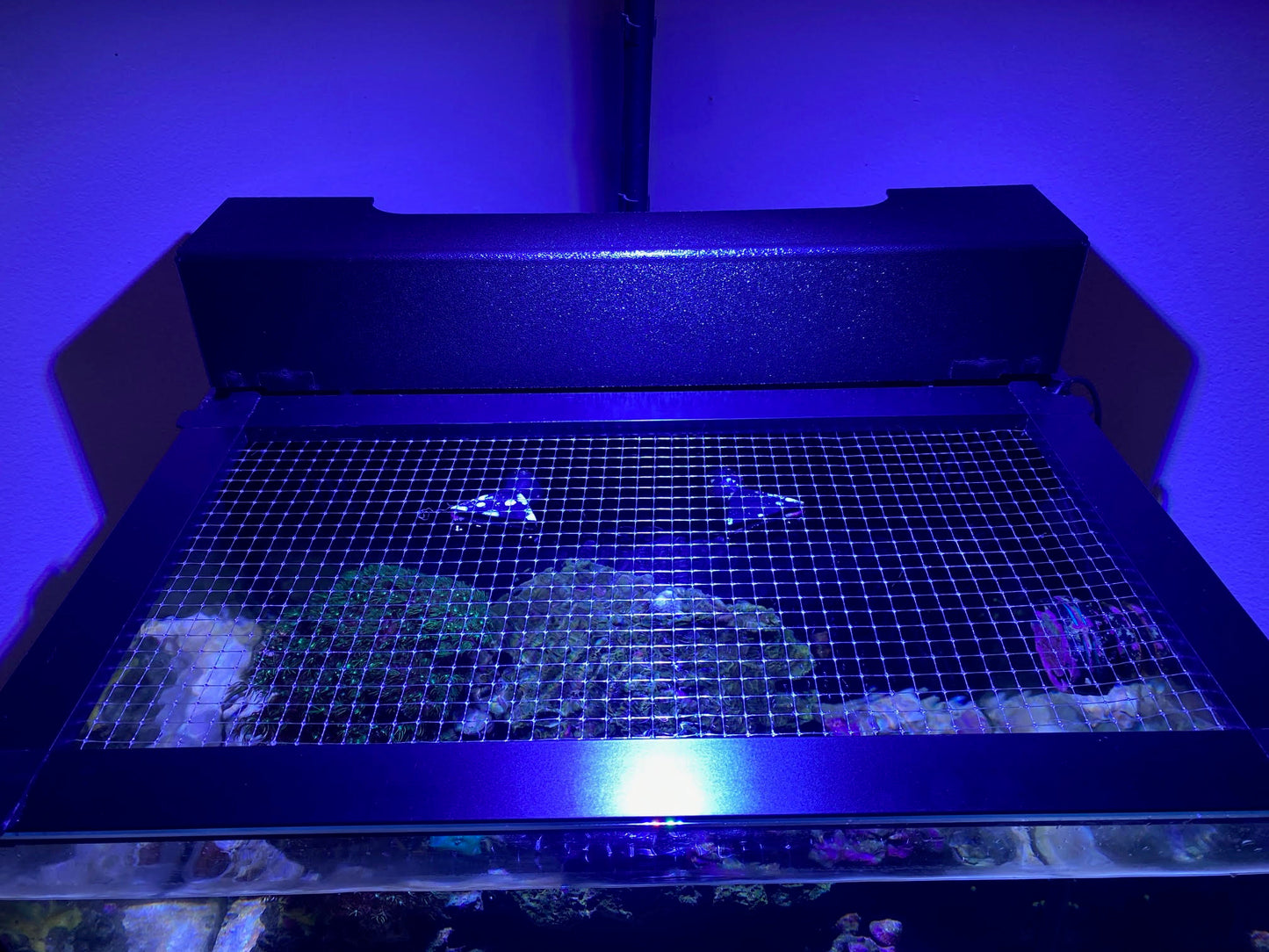 Five Star Aquatics Filtration Cover for Innovative Marine NUVO Abyss Pano Drop off