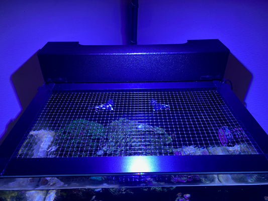 Five Star Aquatics Filtration Cover for Innovative Marine NUVO Abyss Pano Drop off